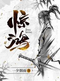 惊鸿小说txt免费阅读