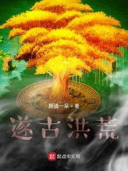 洪荒古纪 小说