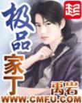 极品家丁小说TXT下载下载笔趣阁