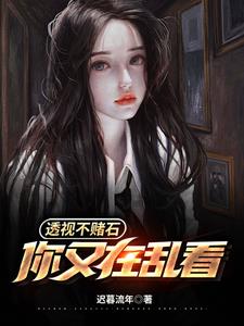 透视小说赌石类小说