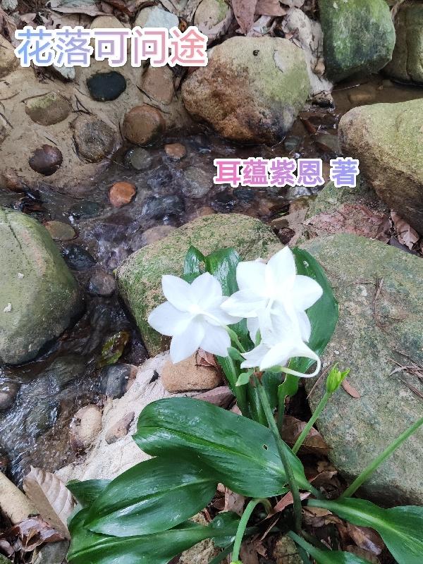 花落途官网