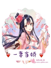 一妻当关免费全文阅读