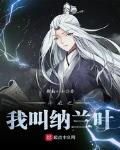 斗破之我叫纳兰叶赣南小山原著小说