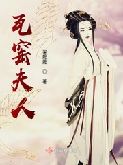 小说瓦窑夫人