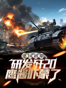 研制歼20的小说