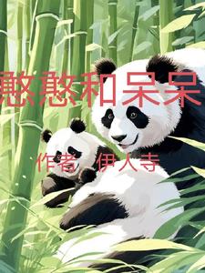憨憨和呆呆小说阅读免费全文