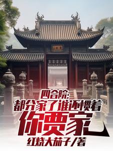 四合院开局分家