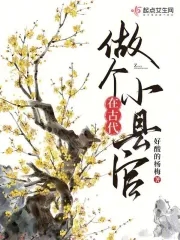 我在古代当大官