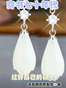 穿书七零年代的小说