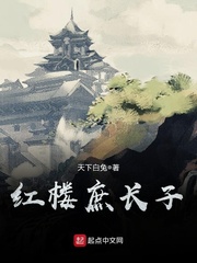 红楼之林家庶长子
