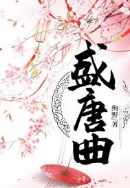 林盛唐婉免费阅读