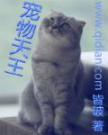 作者皆破的资料