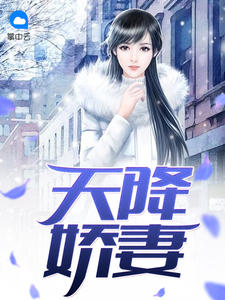 天降骄妻霸道宠免费阅读全文