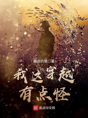 我的穿越有些怪 小说